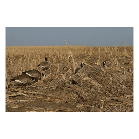 AVERY KILLERWEED LAYOUT BLIND KIT - ALL TERRAIN