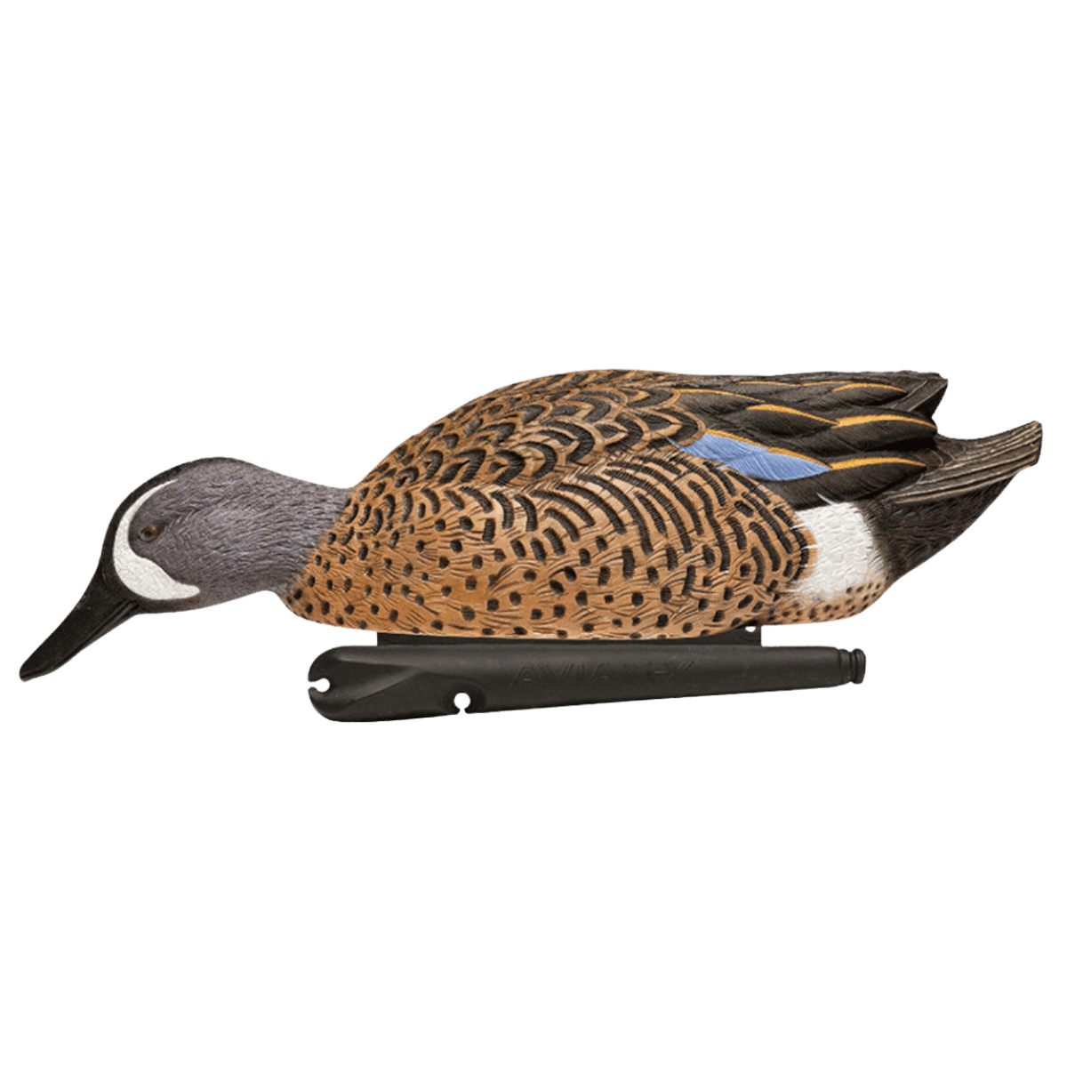 AVIAN X TOP FLIGHT BLUE WING TEAL