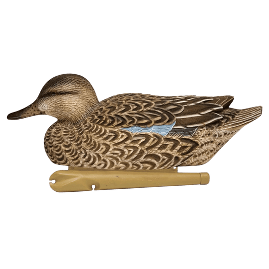 AVIAN X TOP FLIGHT EARLY SEASON TEAL WITH GRAY FEATHER