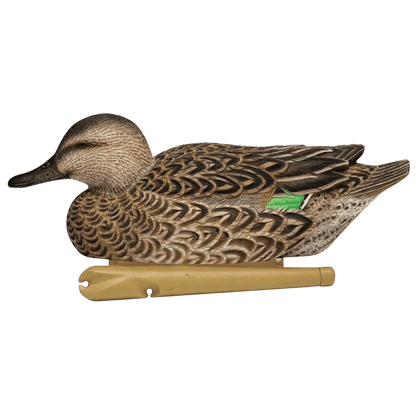 AVIAN X TOP FLIGHT EARLY SEASON TEAL WITH GREEN FEATHER