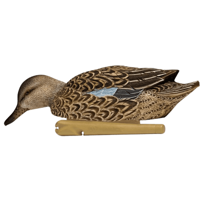 AVIAN X TOP FLIGHT EARLY SEASON TEAL WITH GREY FEATHER