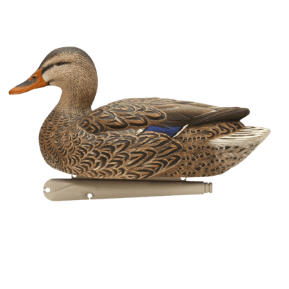 AVIAN X TOP FLIGHT FUSION MALLARDS WITH BLUE FEATHER