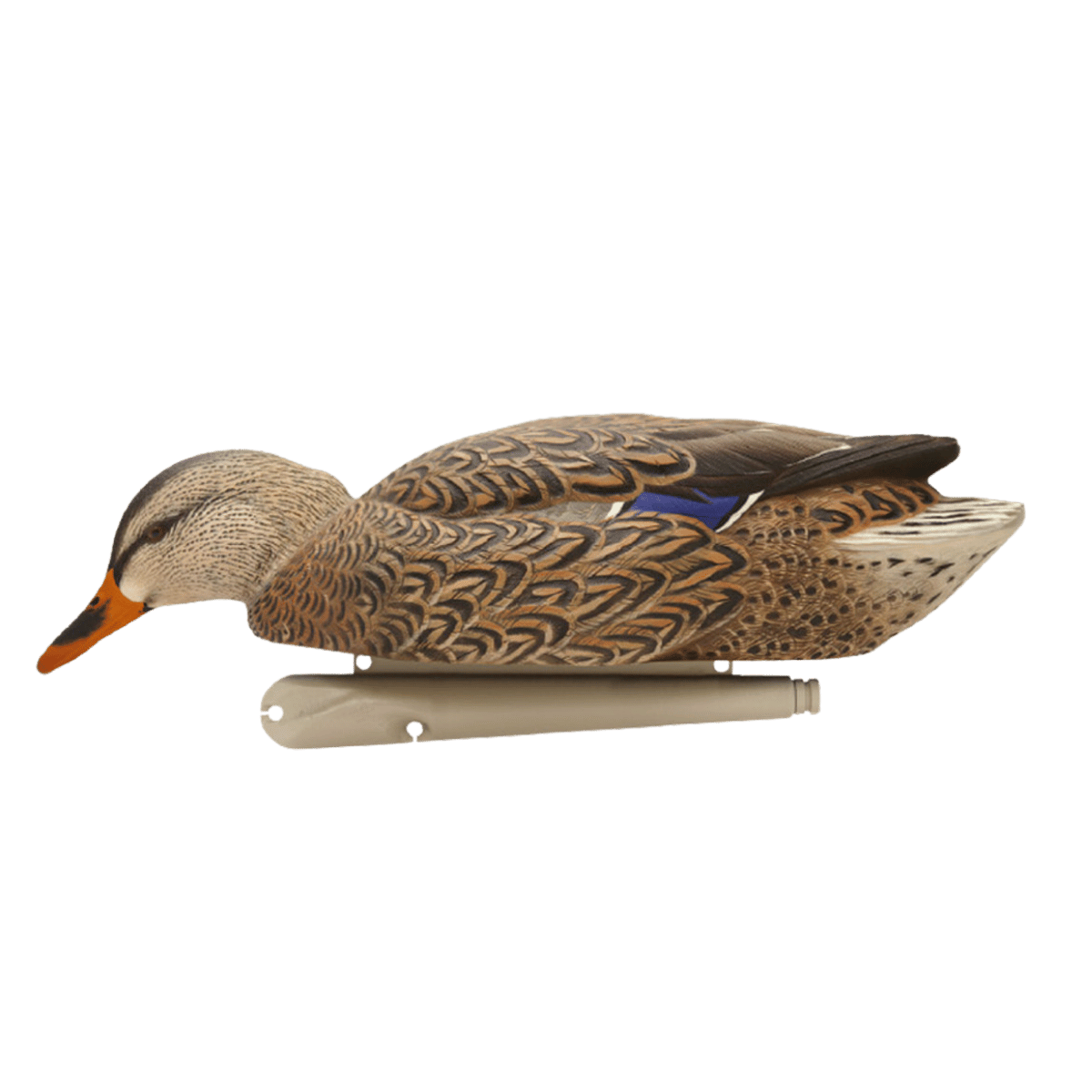 AVIAN X TOP FLIGHT FUSION MALLARDS WITH BLUE FEATHER HEAD DOWN