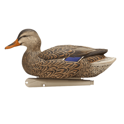 AVIAN X TOP FLIGHT FUSION MALLARDS WITH BLUE FEATHER HEAD UP