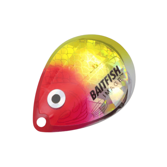 NORTHLAND BAITFISH-IMAGE CO BLADES 3BG #3 - CLOWN