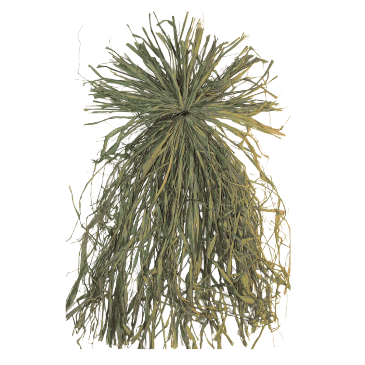 BEAVERTAIL GHILLIE GRASS BUNDLE - GREEN