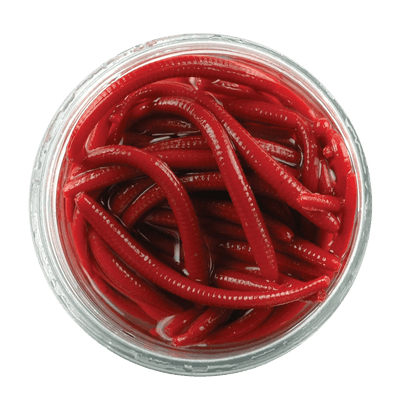 BERKLEY GULP ALIVE ANGLE WORM FISHING LURE 1 IN RED WORM - 2.1OZ JAR looking down in Jar