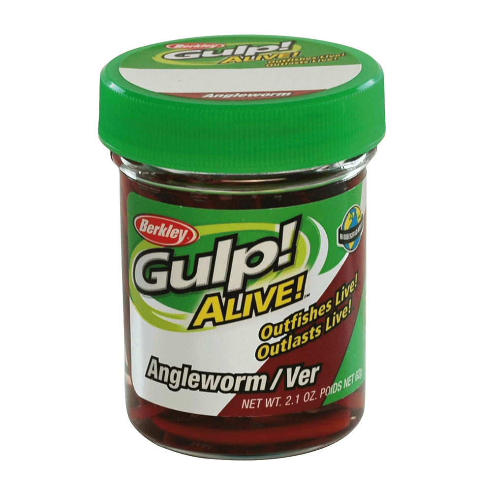 BERKLEY GULP ALIVE ANGLE WORM FISHING LURE 1 IN RED WORM - 2.1OZ JAR in Jar