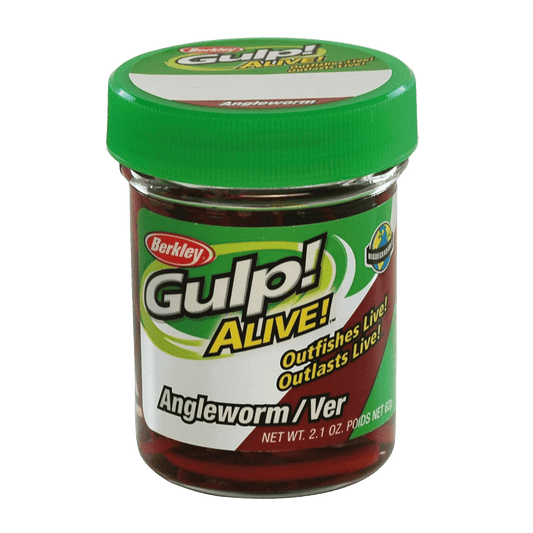 BERKLEY GULP ALIVE ANGLE WORM FISHING LURE 1 IN RED WORM - 2.1OZ JAR in Jar