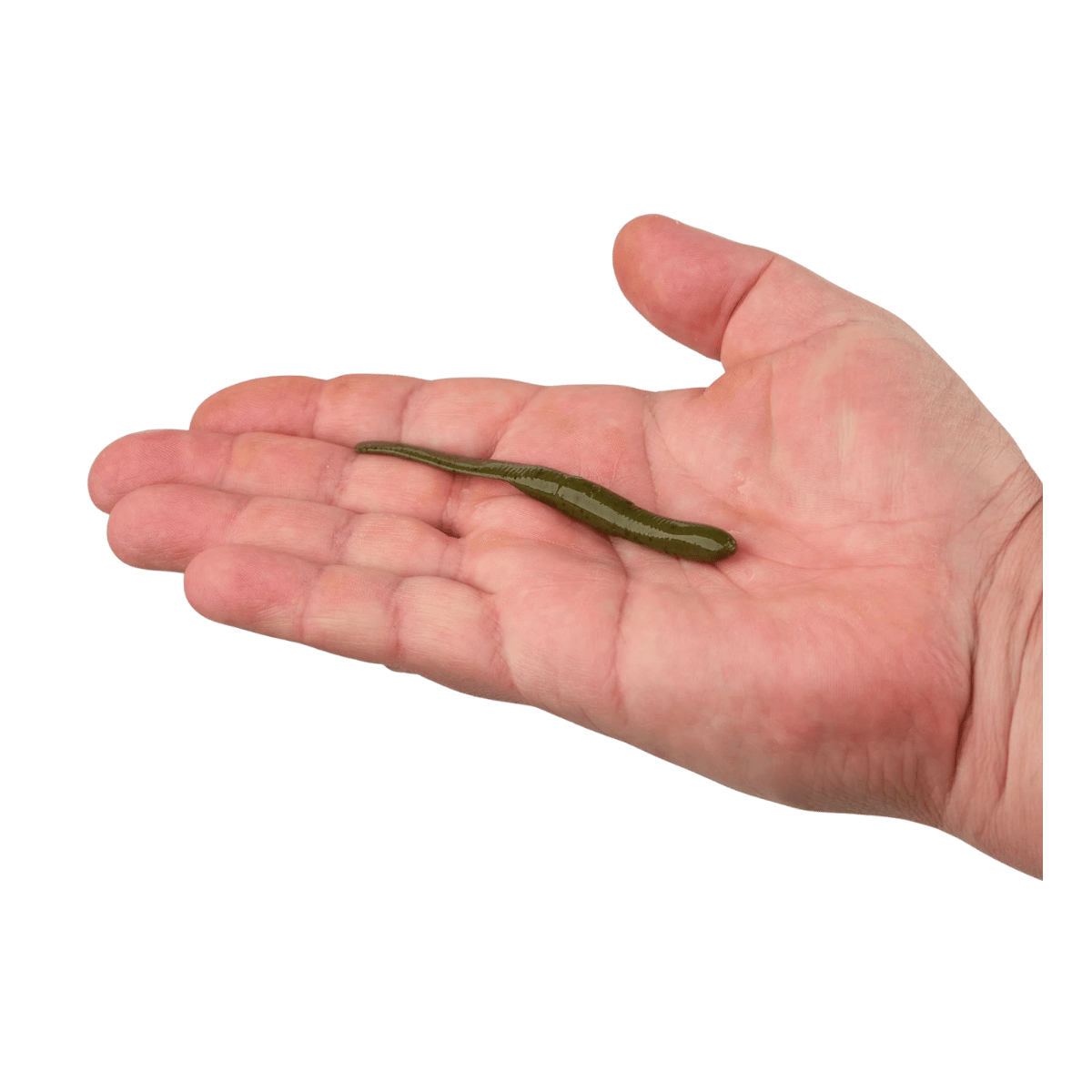 BERKLEY GULP! SR CRAWLER 12PK – SCENTED SOFT PLASTIC WORM - GREEN PUMPKIN - 4 IN - PRODUCT IN HAND