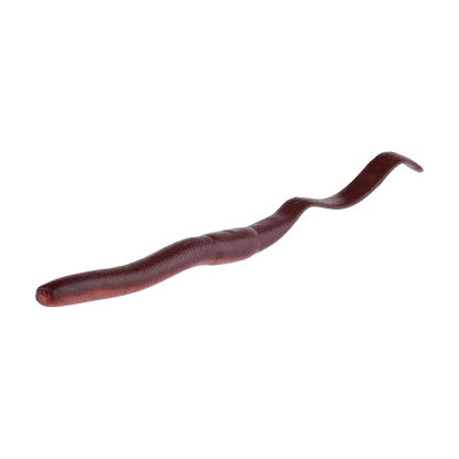 BERKLEY GULP! SR CRAWLER 12PK – SCENTED SOFT PLASTIC WORM - NIGHT CRAWLER - 7 IN - ANGLED VIEW