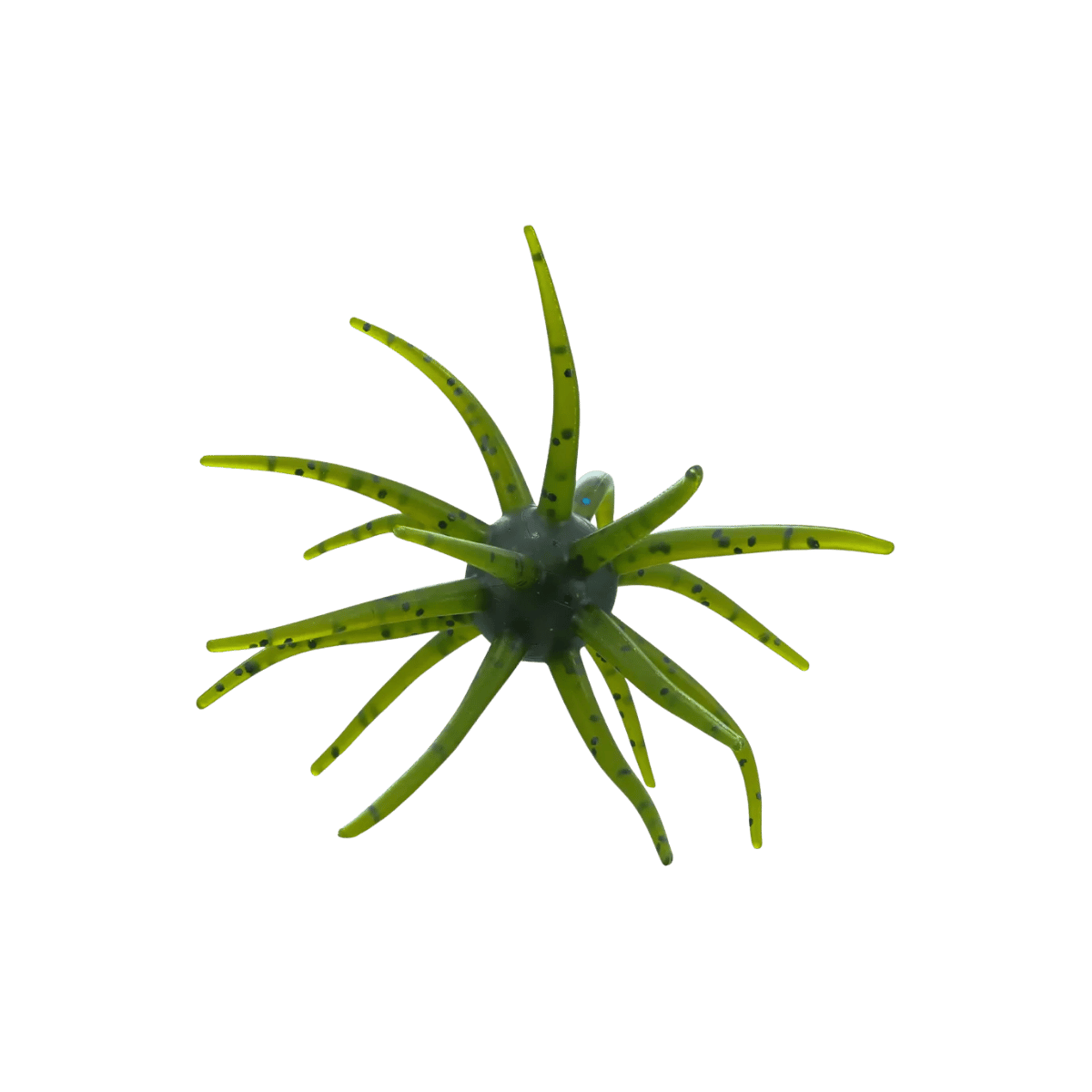 BIG BITE ORBIX 19MM WATERMELON SEED