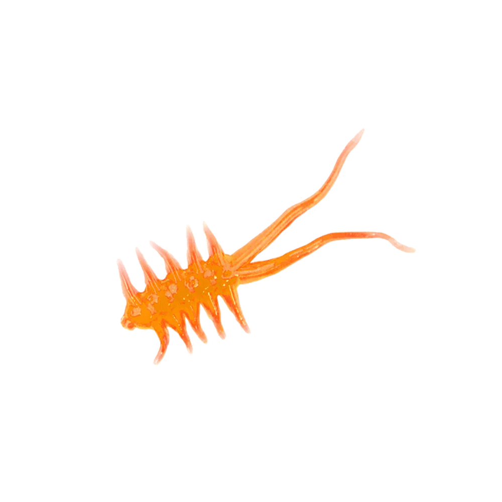 CLAM JAMEI XL
Blaze Orange Glow