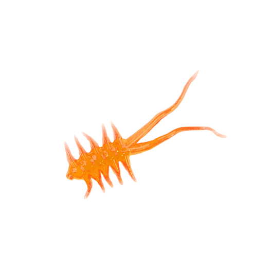 CLAM JAMEI XL
Blaze Orange Glow