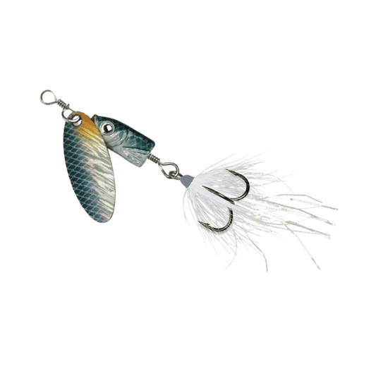BLUE FOX FLASH SPINNER 01 1/8OZ SHINER