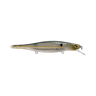 COPPER SHAD