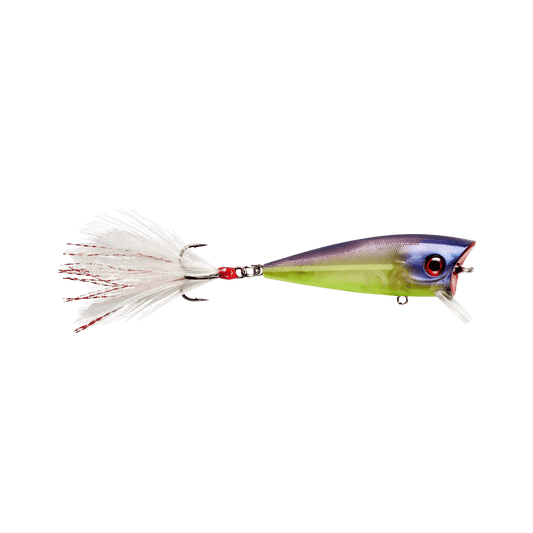 BOOYAH PRANK LIPPED POPPER XRAY IMAGE