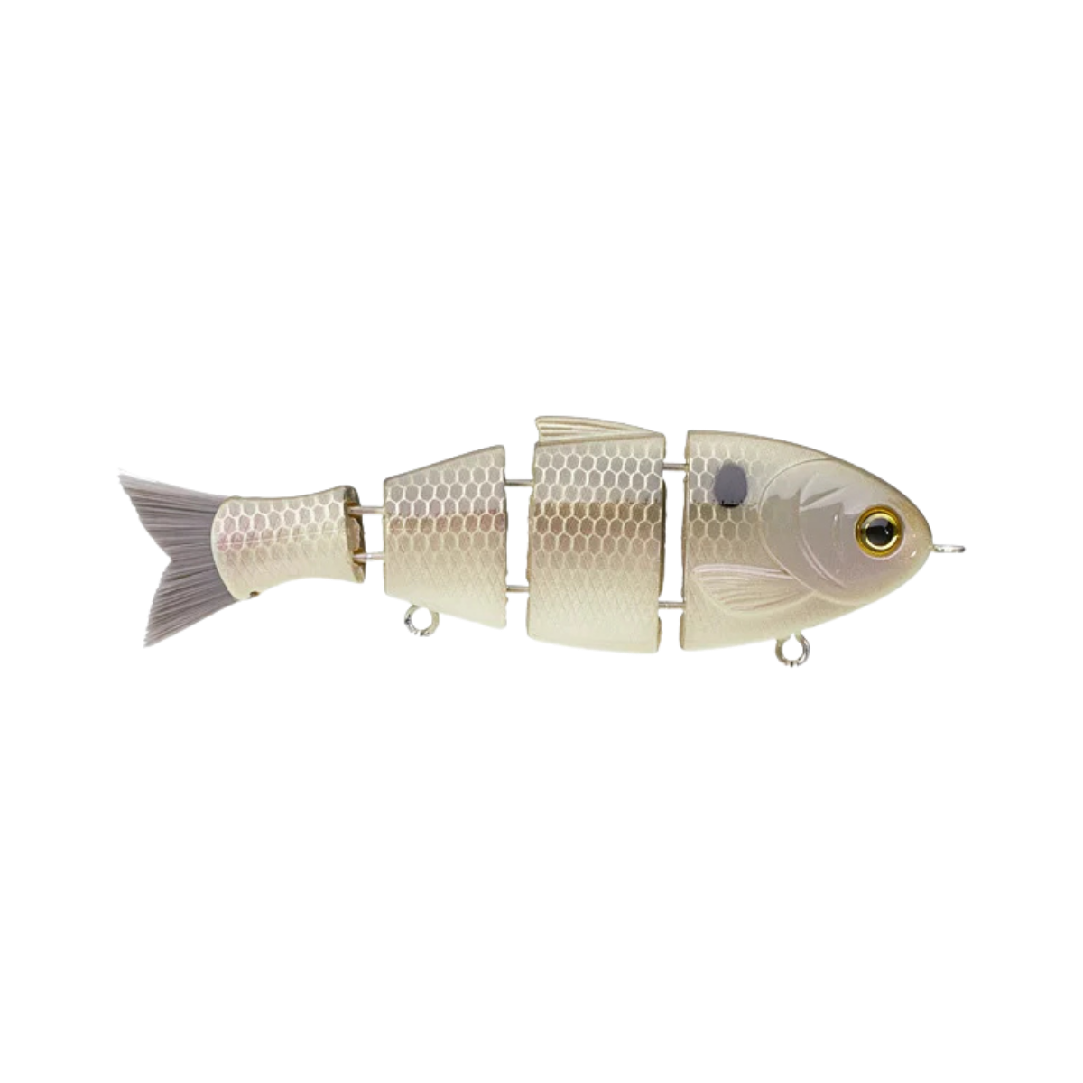 BUCCA BRAND BUCCA BABY BULL SHAD GIZZARD SHAD