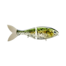 SACALAIT
