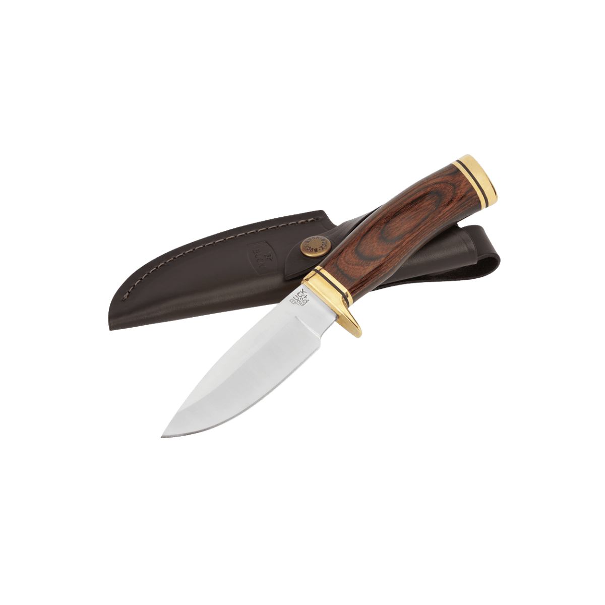BUCK KNIVES VANGUARD WALNUT HANDLE