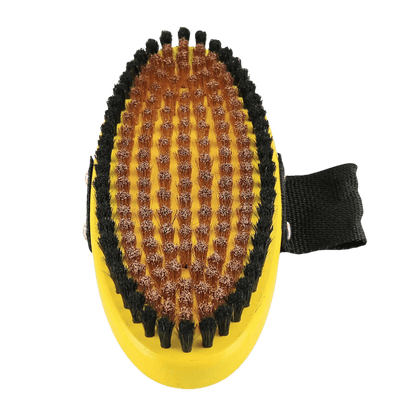 BEAST STIFF BRONZE HORSEHAIR OVAL BRUSH