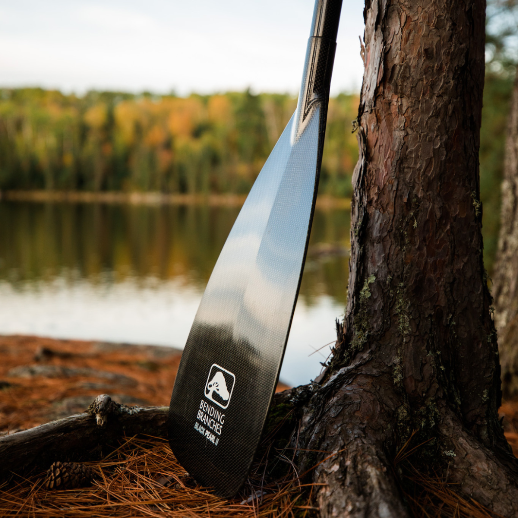 Bending Branches Black Pearl 11 Canoe Paddle
