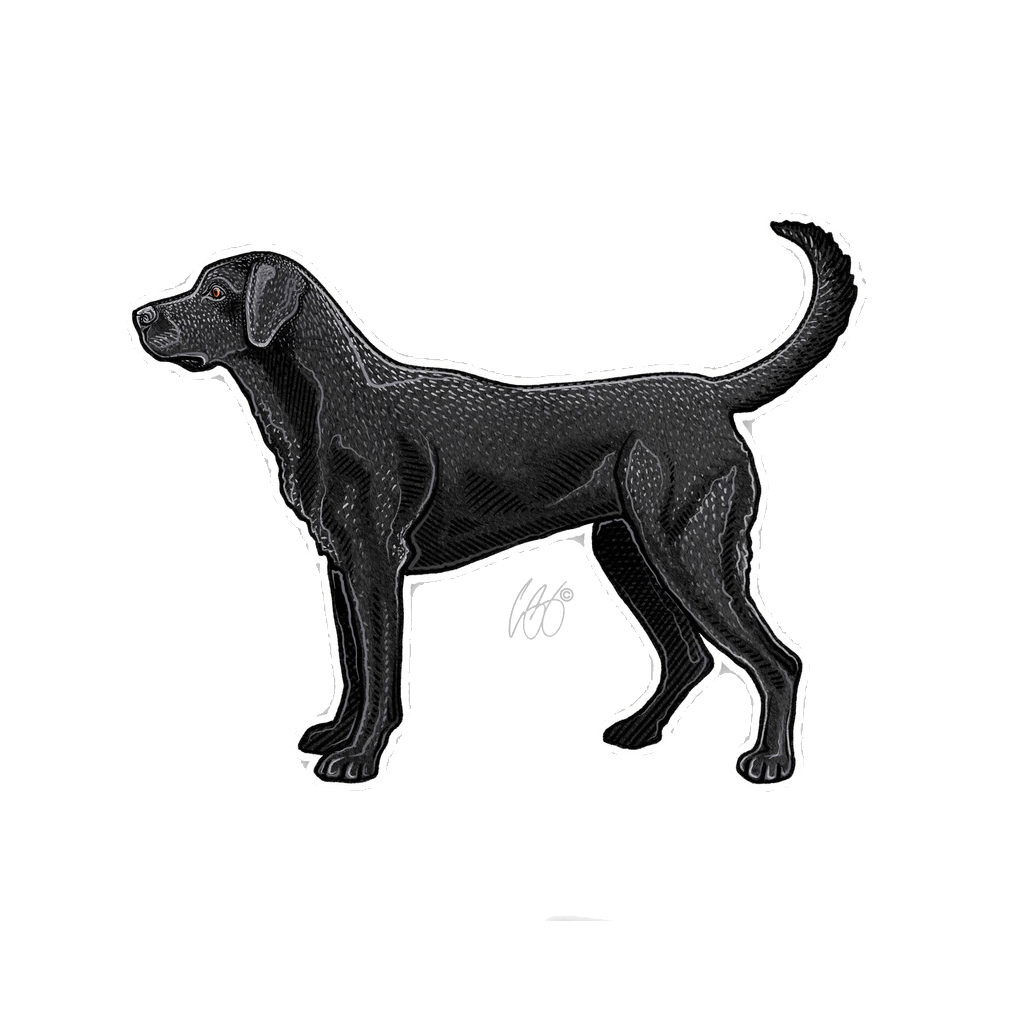 Black_Lab_Decal