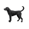 BLACK LAB