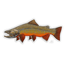 BROOK TROUT