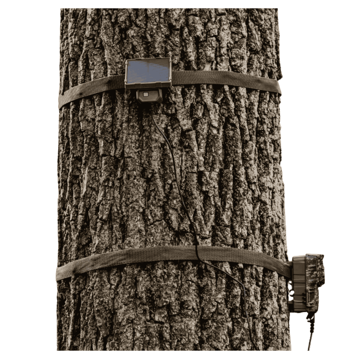 BROWNING MICRO-SOLAR BATTERY PACK - FRONT VIEW (IN USE)