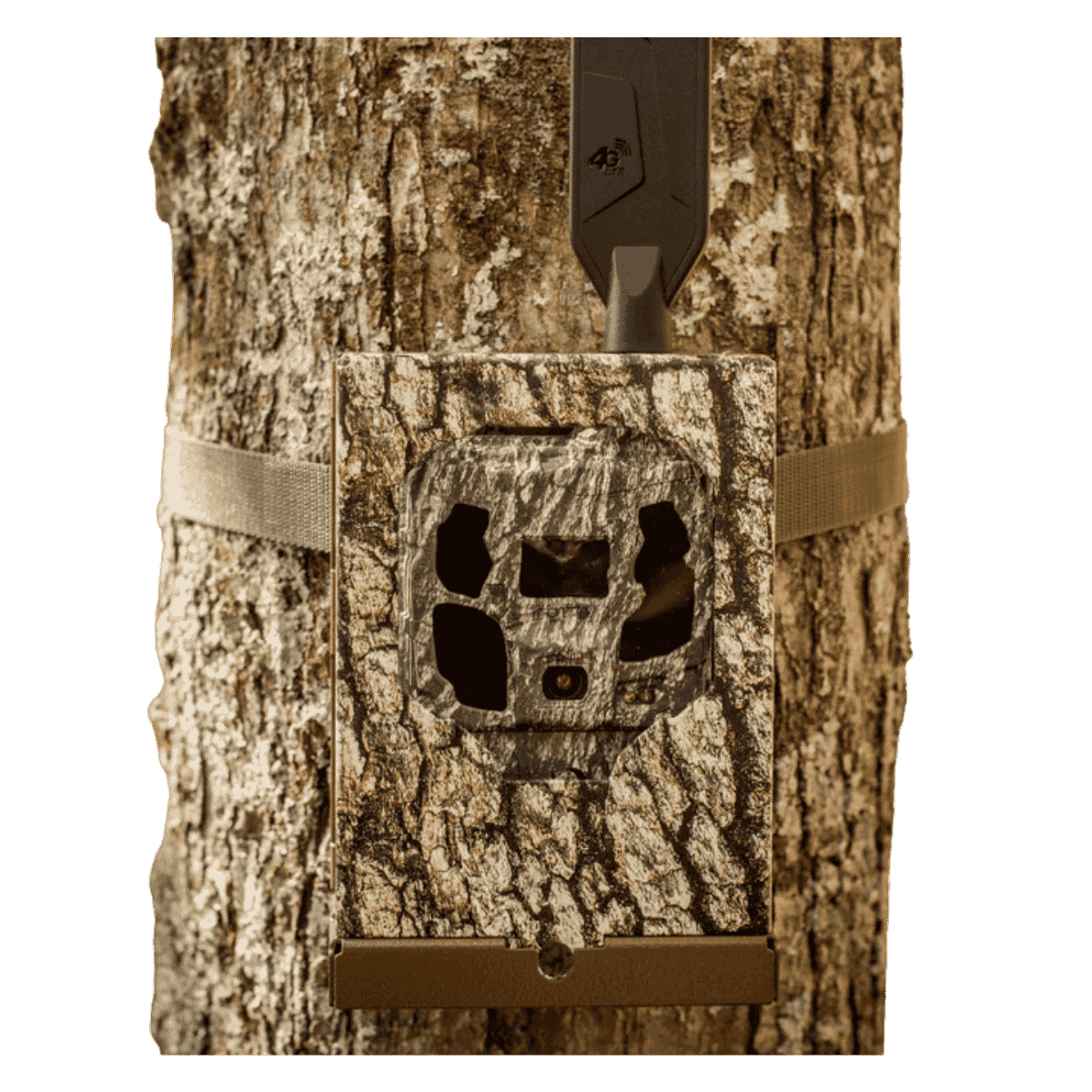 BROWNING SUB MICRO/CELL SECURITY BOX - FRONT VIEW (IN USE)