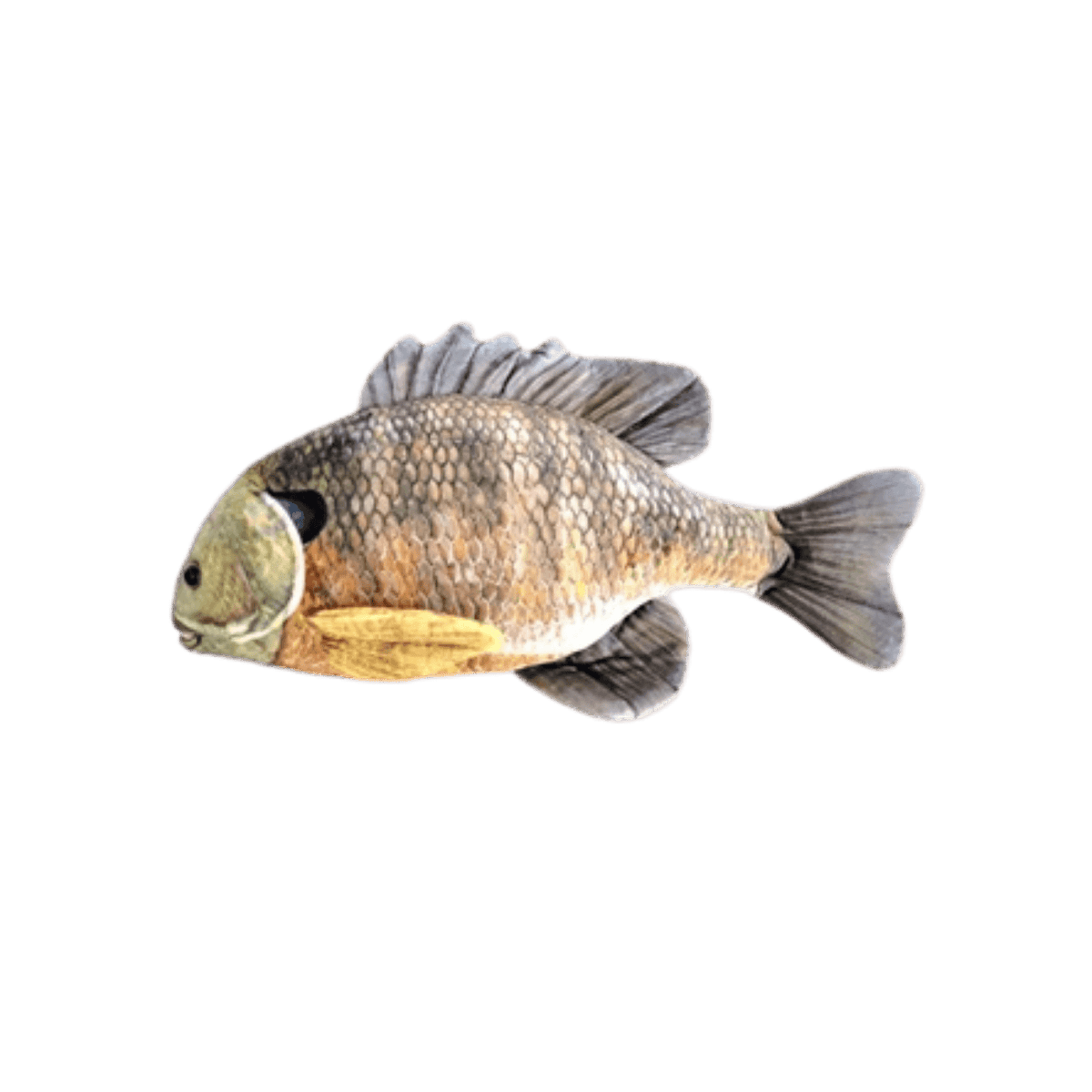 CABIN CRITTERS BLUEGILL 12.5IN 