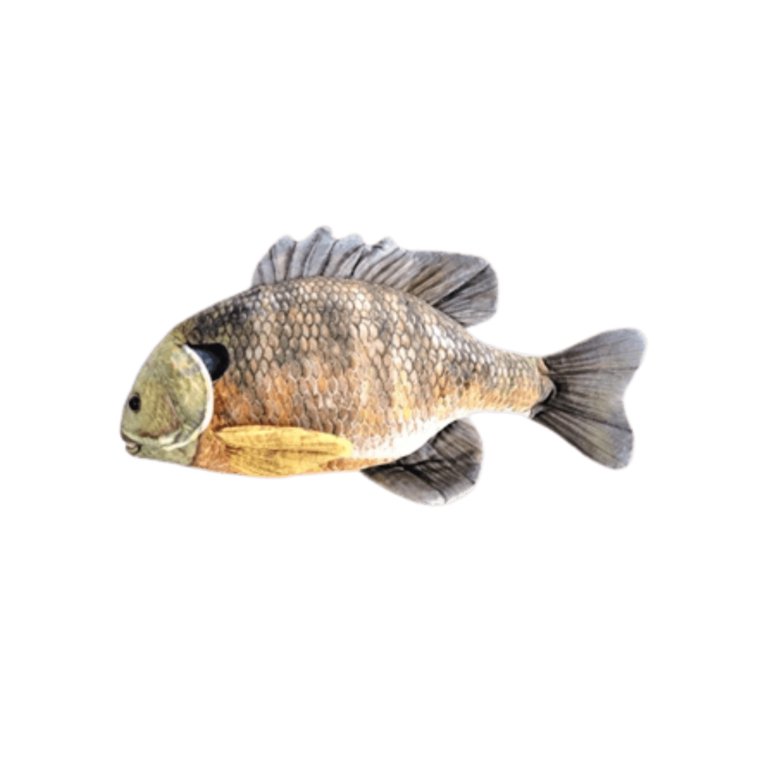 CABIN CRITTERS BLUEGILL 12.5IN 