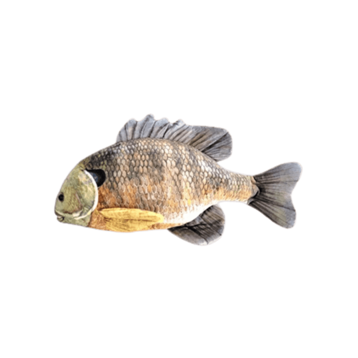 CABIN CRITTERS BLUEGILL 7IN IMAGE