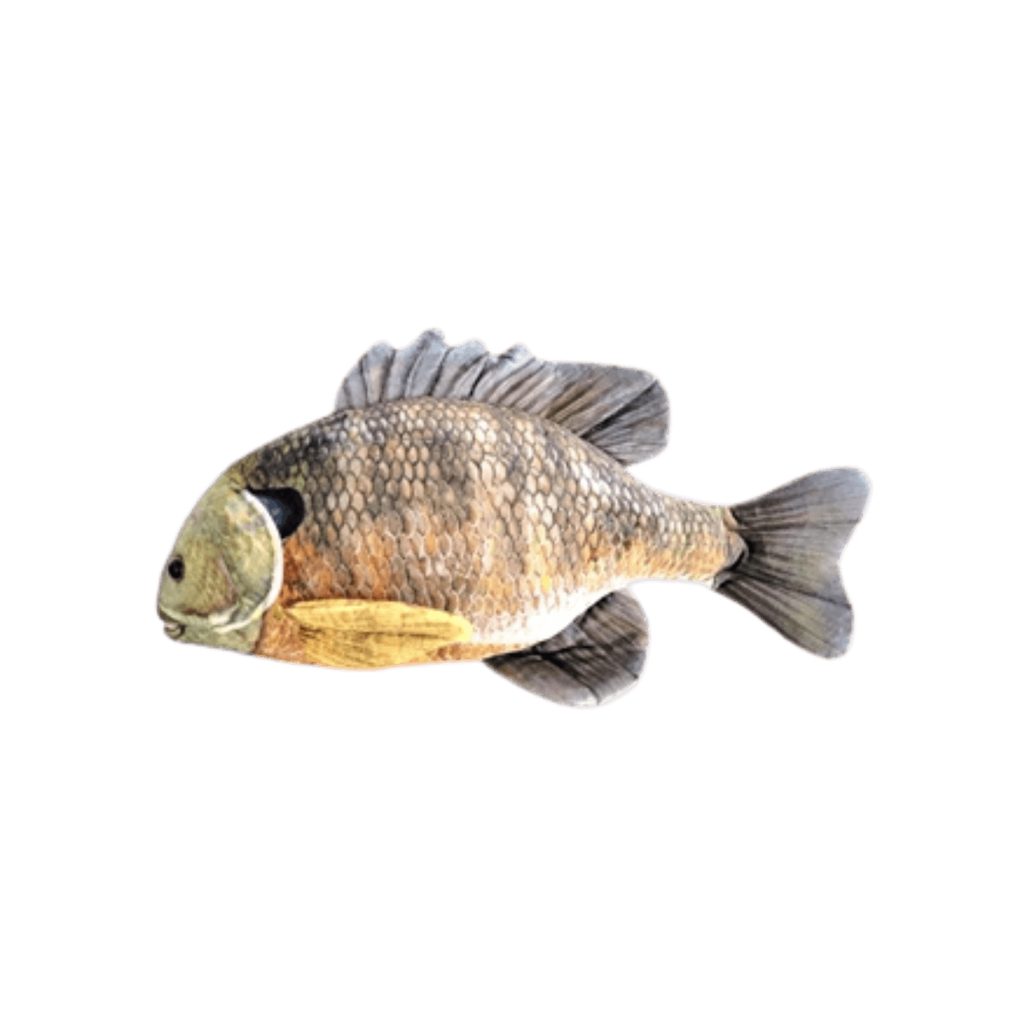 CABIN CRITTERS BLUEGILL 7IN IMAGE