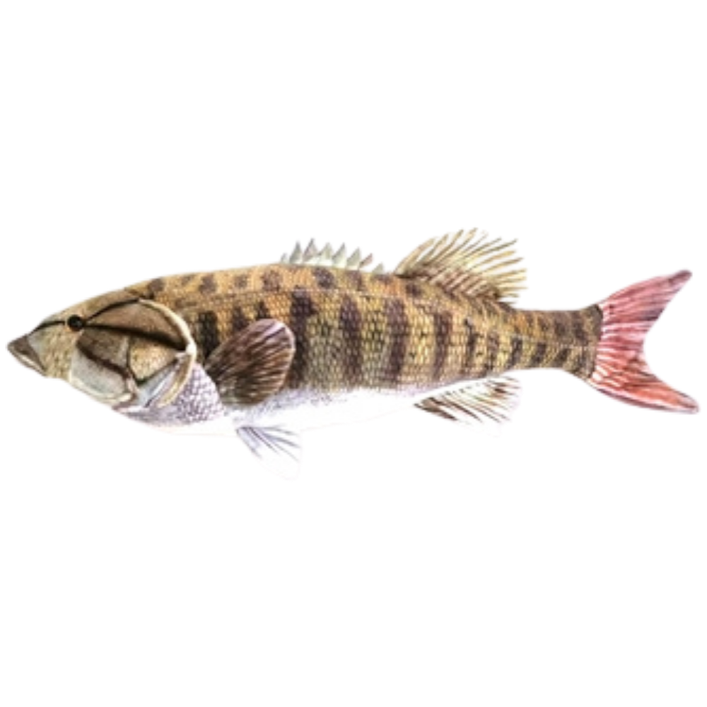 CABIN CRITTERS SMALLMOUTH BASS 17IN 
