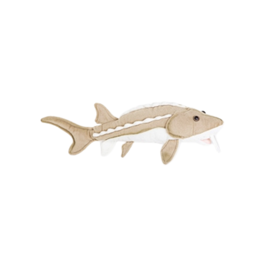 CABIN CRITTERS STURGEON 10IN