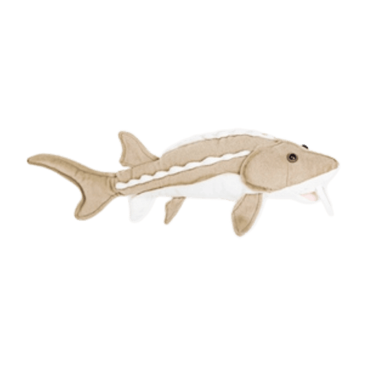 CABIN CRITTERS STURGEON 17IN
