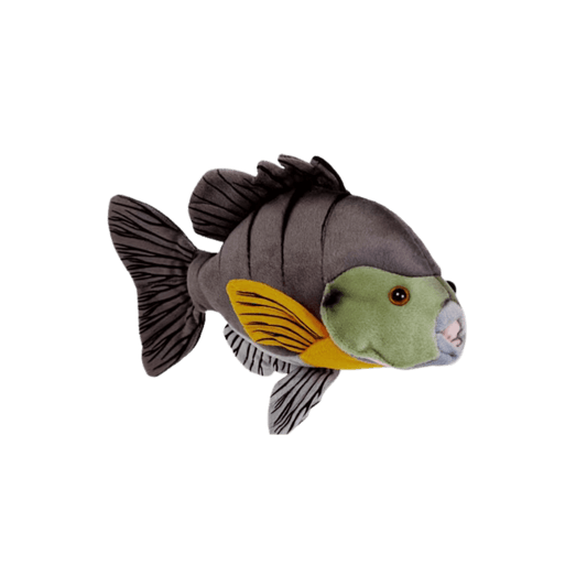 CABIN CRITTERS SUNFISH 12.5IN