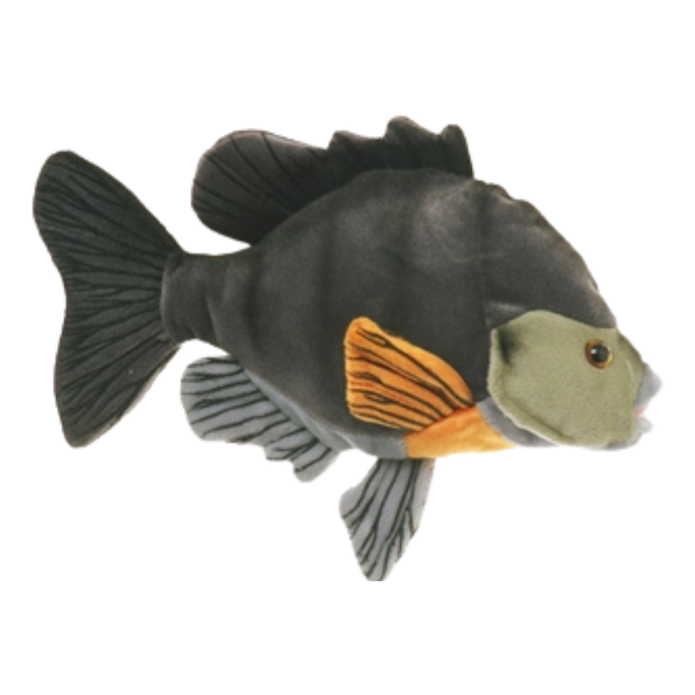 CABIN CRITTERS SUNFISH BLACK