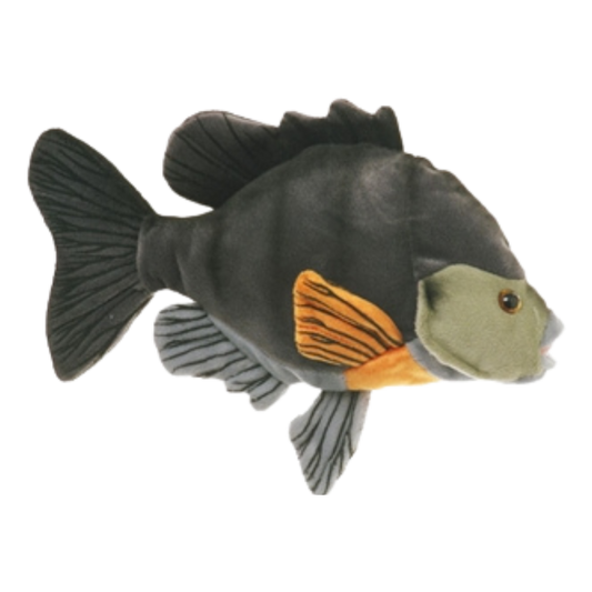 CABIN CRITTERS SUNFISH BLACK