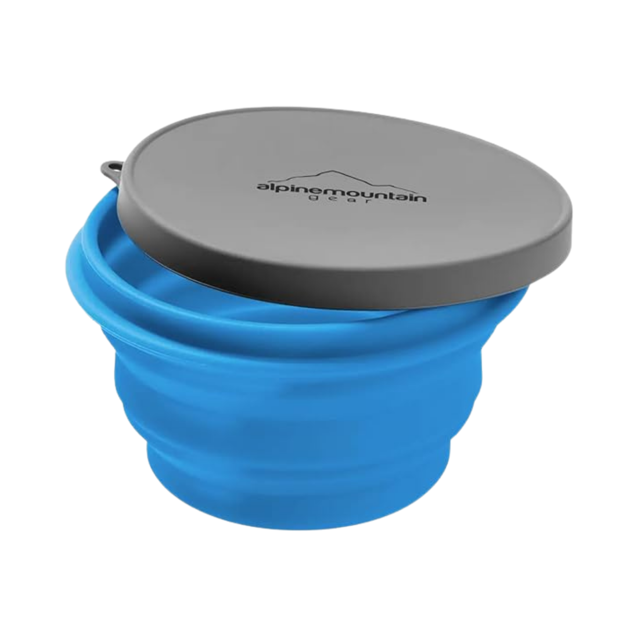 CADDISCOLLAPSIBLE CONTAINER W/LID BLUE
