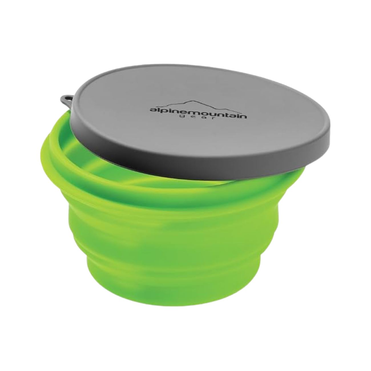 CADDIS COLLAPSIBLE CONTAINER W/LID GREEN