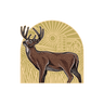 WHITETAIL ARCH