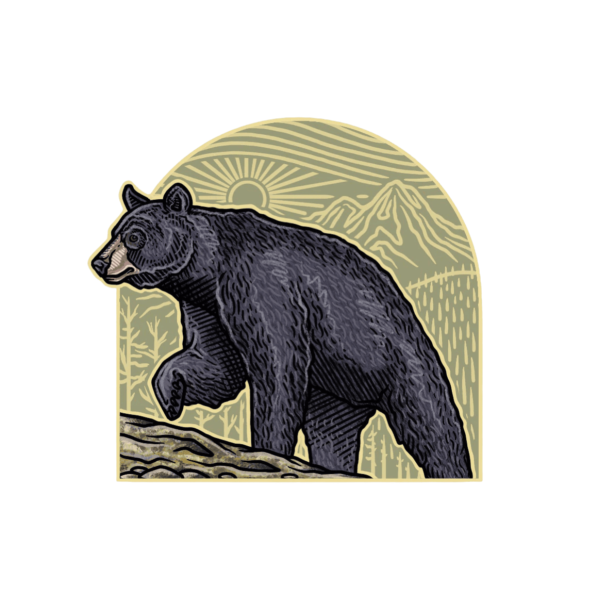CASEY UNDERWOOD BIG GAME SERIES - BLACK BEAR ARCH
