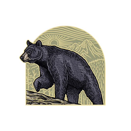 CASEY UNDERWOOD BIG GAME SERIES - BLACK BEAR ARCH