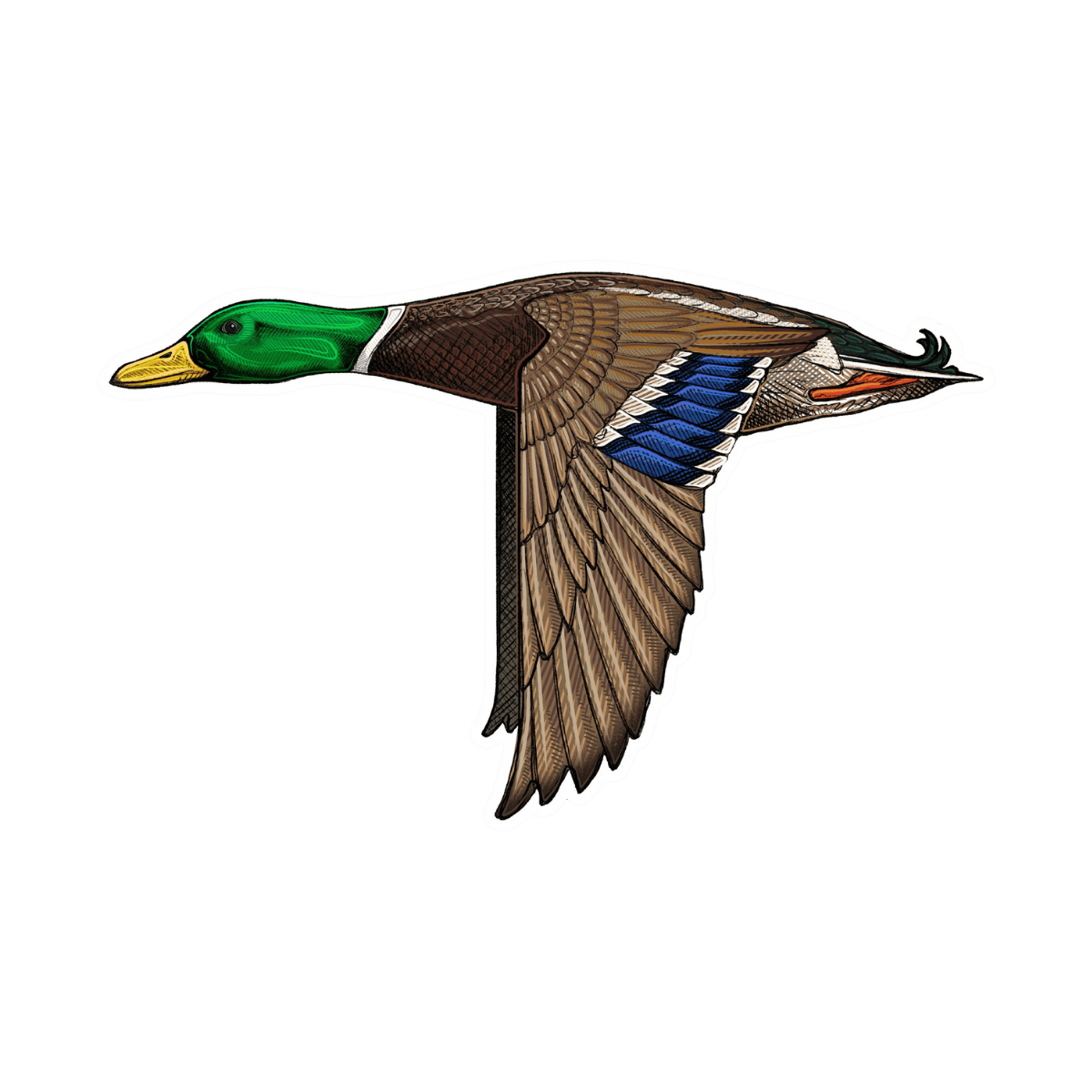 CASEY UNDERWOOD BIRD DECALS - MALLARD