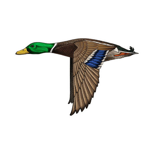 CASEY UNDERWOOD BIRD DECALS - MALLARD