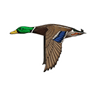MALLARD