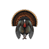 E. WILD TURKEY